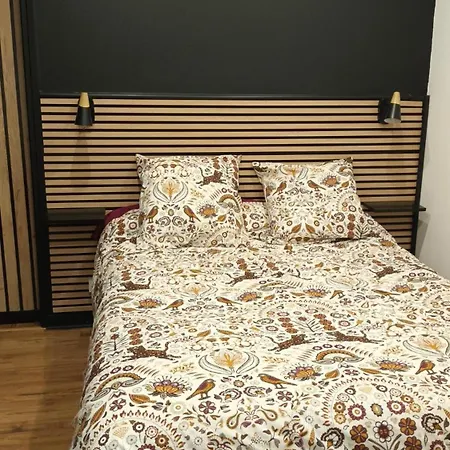 Apartment Superbe T2 Proche De Vulcania *